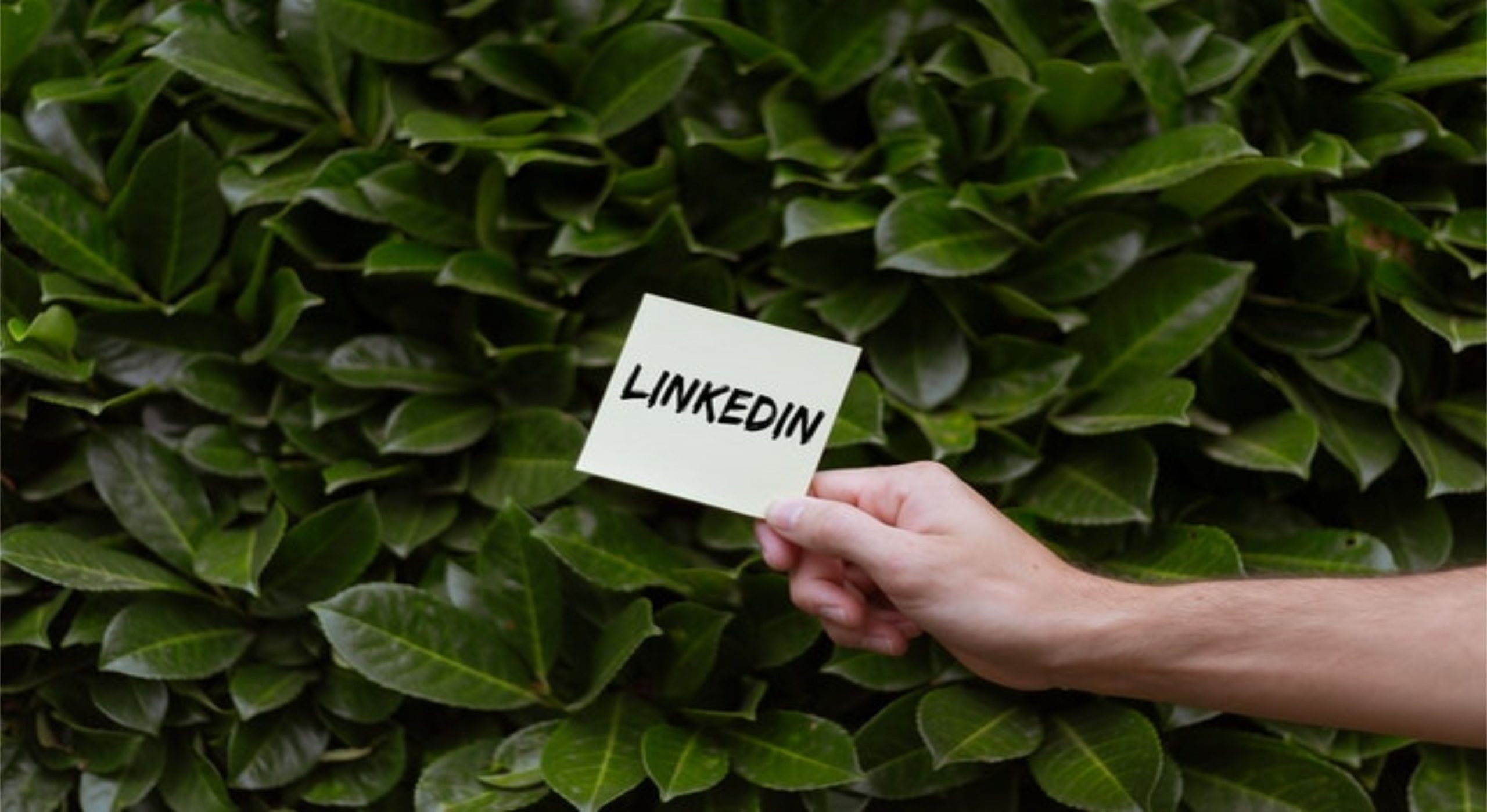 LinkedIn: 5 consejos para un perfil exitoso